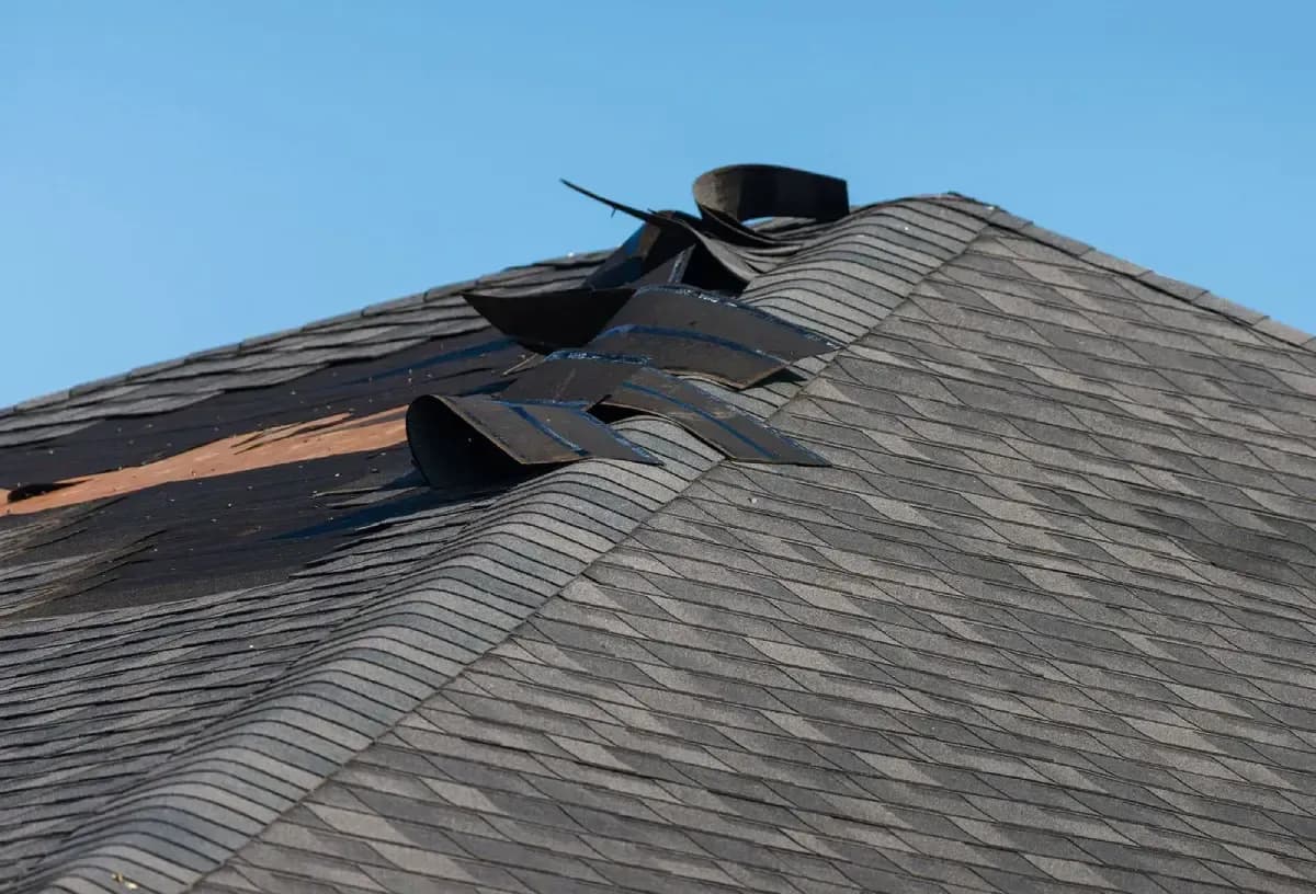 damaged-roof.webp
