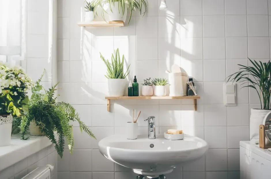 Untitled-design-2-e1697735884701.webp